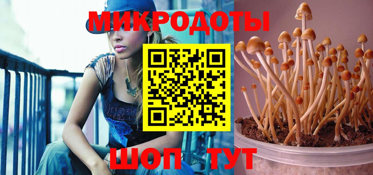Псилоцибиновые грибы GOLDEN TEACHER Каменск-Шахтинский