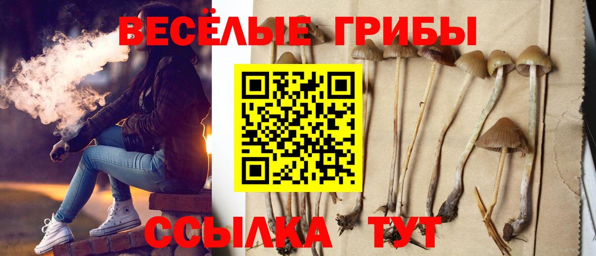 Галлюциногенные грибы ЛСД  Вход с VPN  Каменск-Шахтинский 